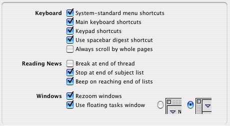 The interface options preferences panel